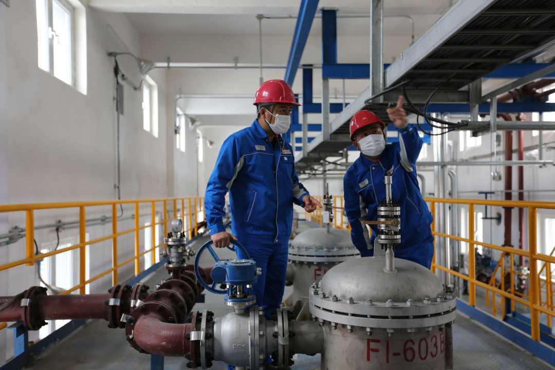 环境评估：实现可持续发展的必经之路